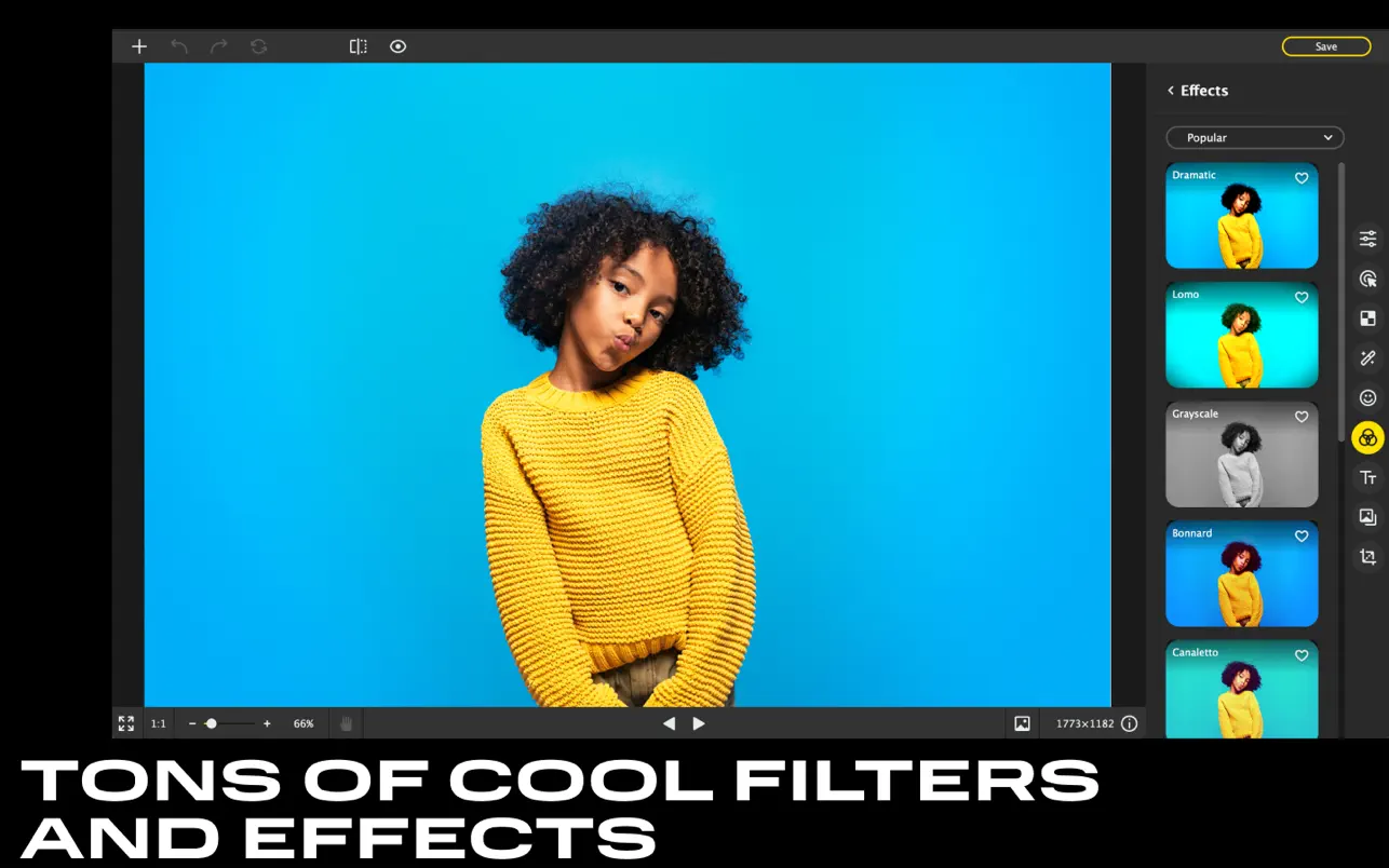 Movavi Photo Editor screenshot 6